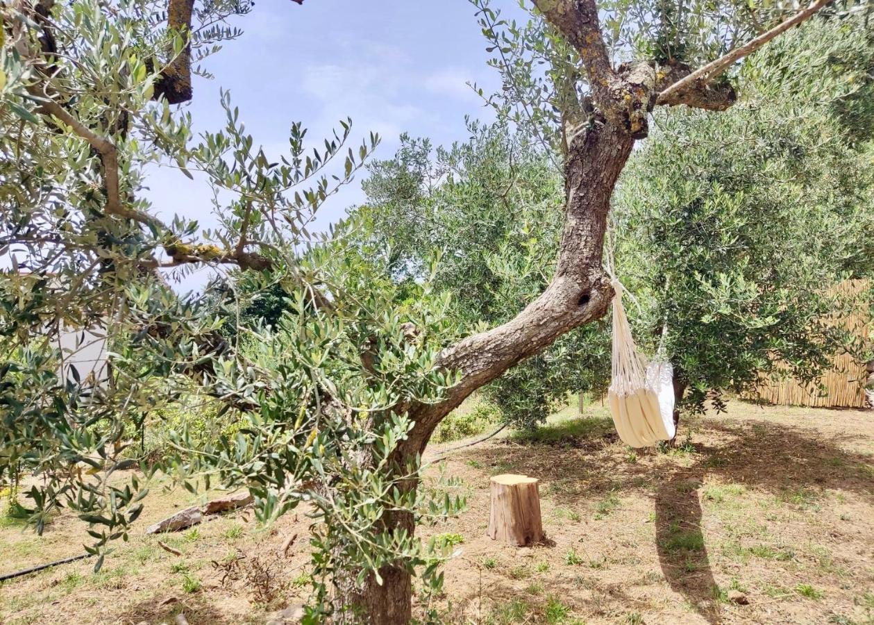 Nostos Casale Bed & Breakfast Sant'Agata sui due Golfi Luaran gambar